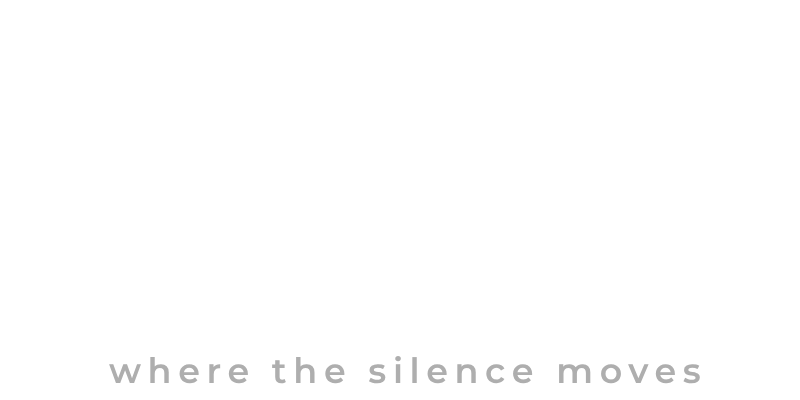 Silent Flicker